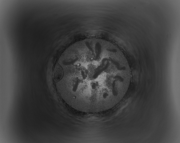 X0000100410913200806061338