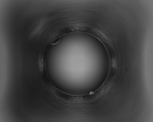 X0000100410915200806061338