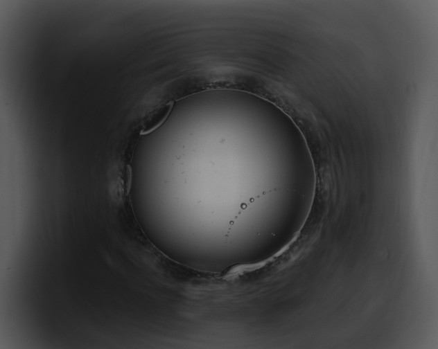 X0000100410916200806061338