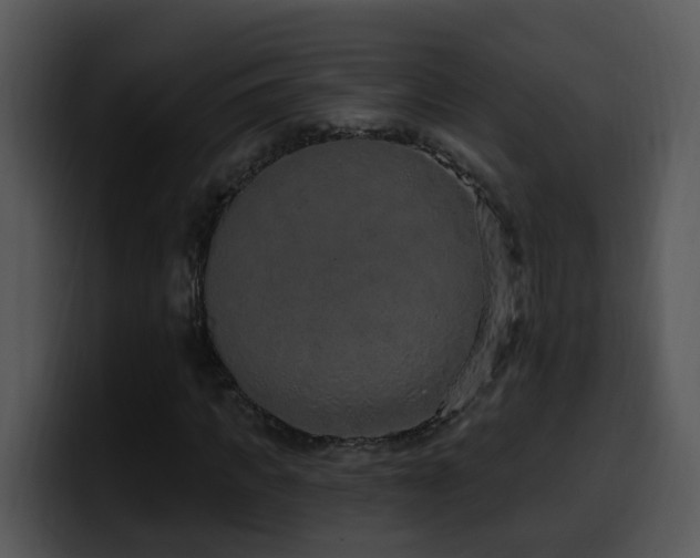 X0000100410917200806061338