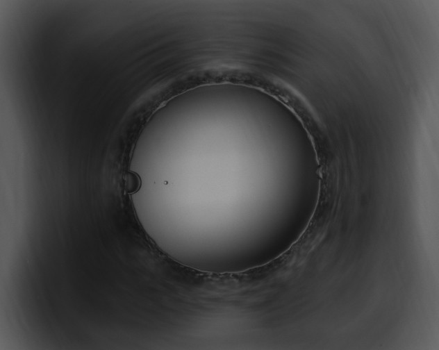 X0000100410919200806061338