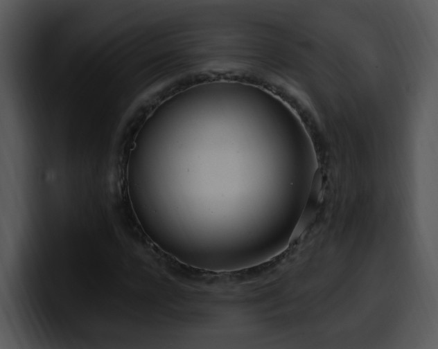 X0000100410920200806061338