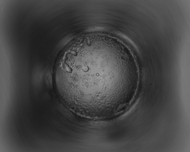 X0000100410921200806061338