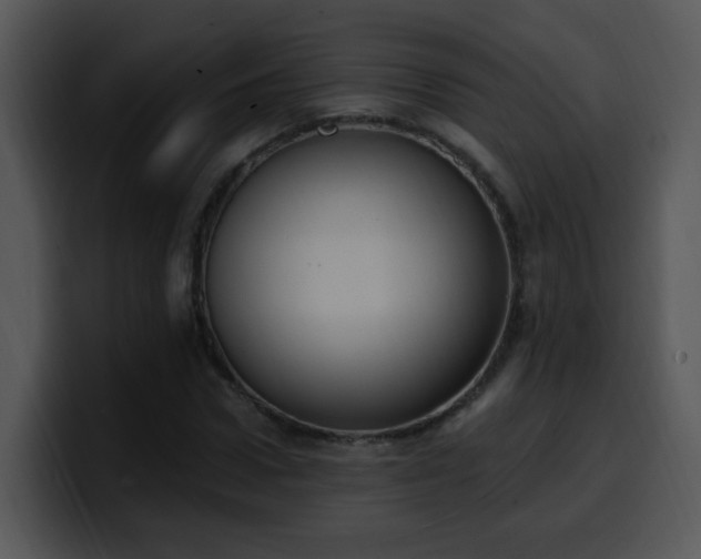 X0000100410922200806061338