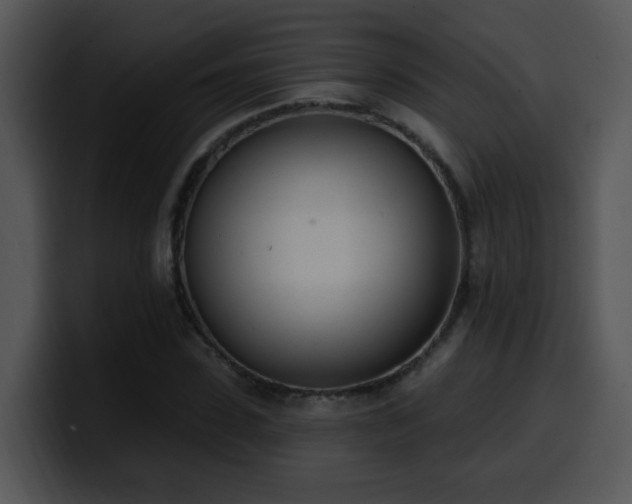 X0000100410923200806061338