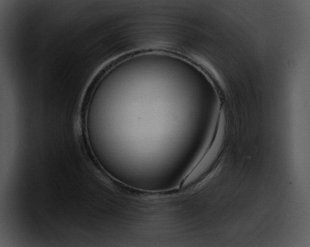 X0000100410924200806061338