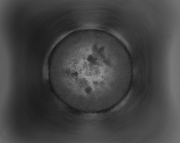 X0000100410925200806061338