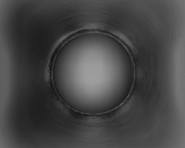 X0000100410927200806061338