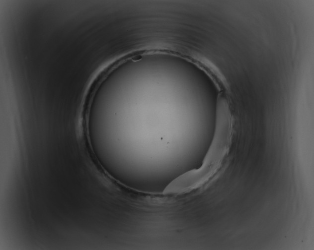 X0000100410928200806061338