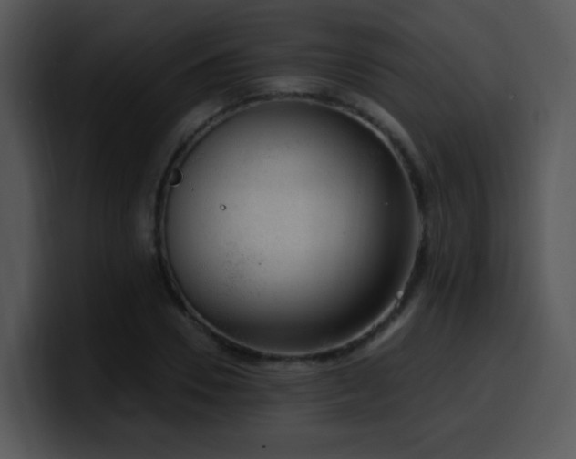 X0000100410930200806061338