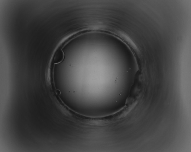 X0000100410932200806061338