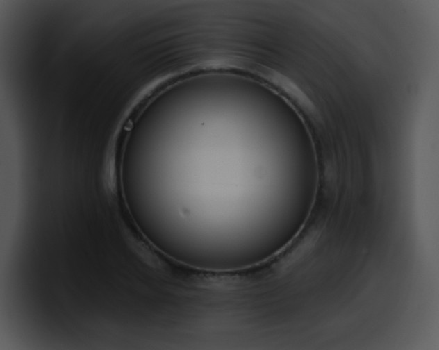 X0000100410934200806061338