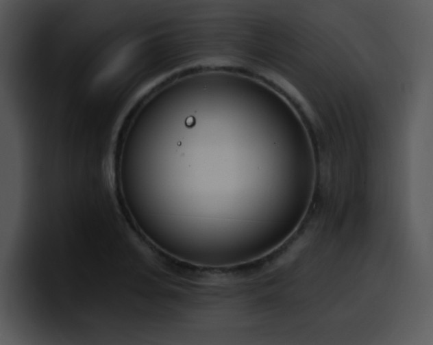 X0000100410935200806061338