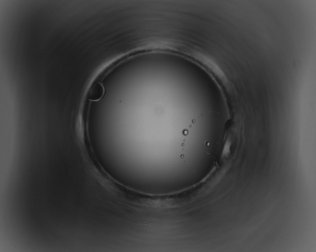 X0000100410936200806061338