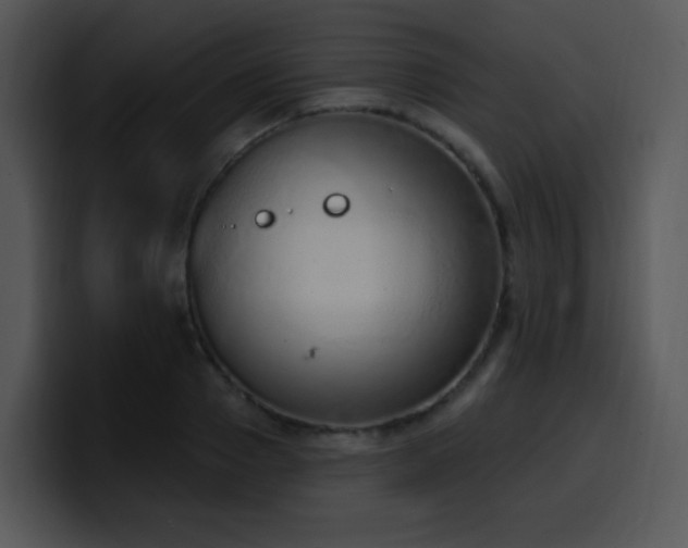 X0000100410937200806061338