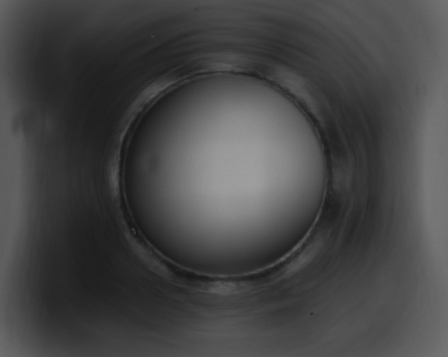 X0000100410938200806061338