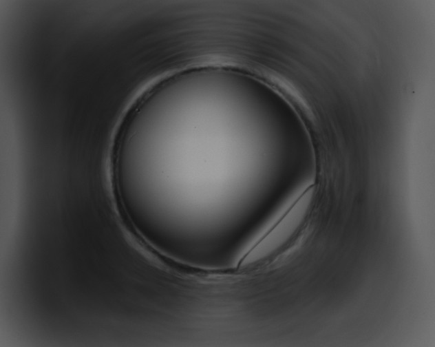 X0000100410942200806061338