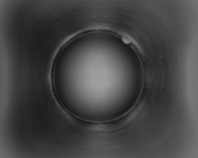 X0000100410943200806061338