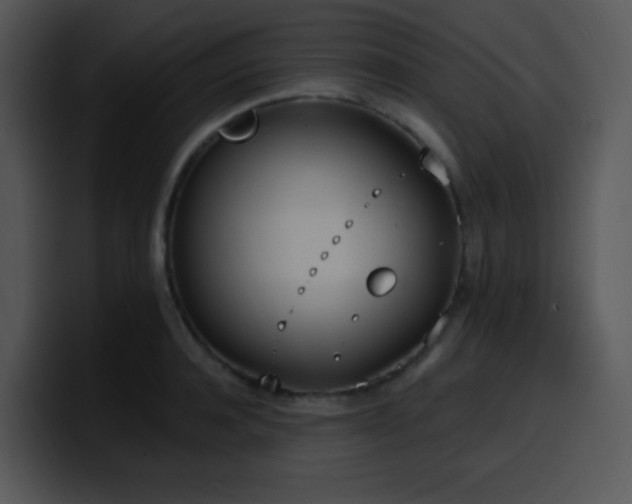 X0000100410944200806061338