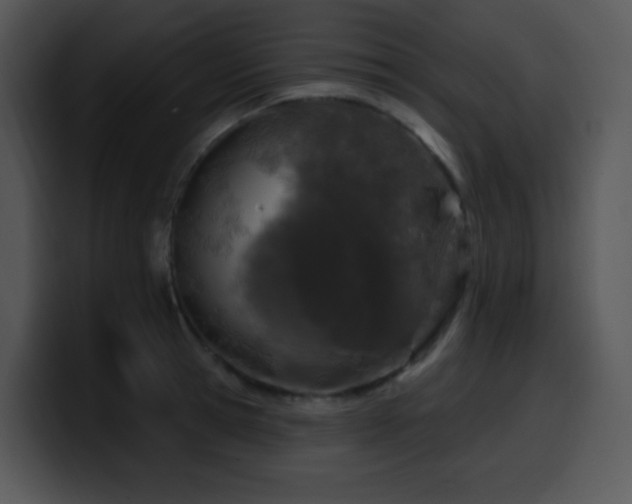 X0000100410945200806061338