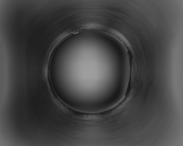 X0000100410946200806061339