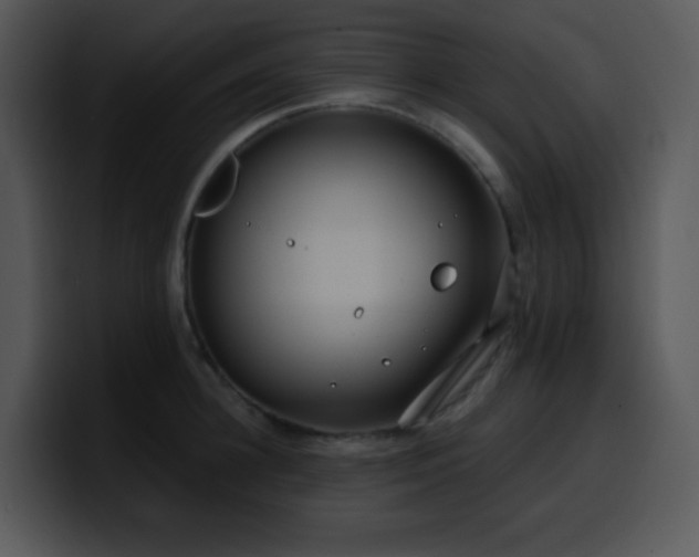 X0000100410948200806061339