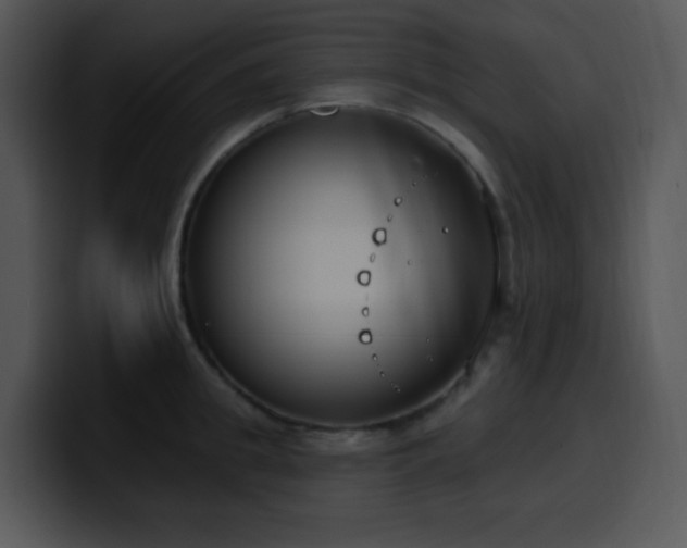 X0000100410949200806061339