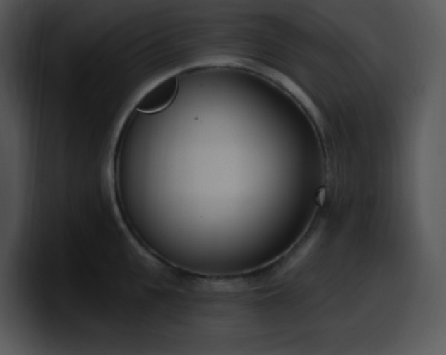 X0000100410951200806061339