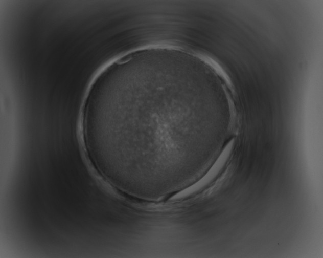 X0000100410952200806061339