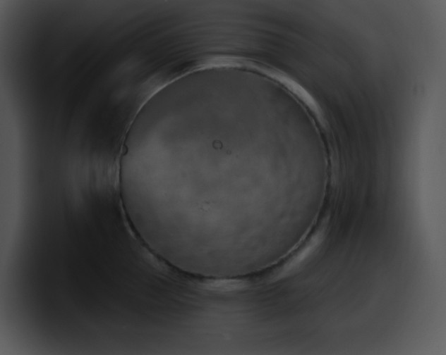 X0000100410953200806061339