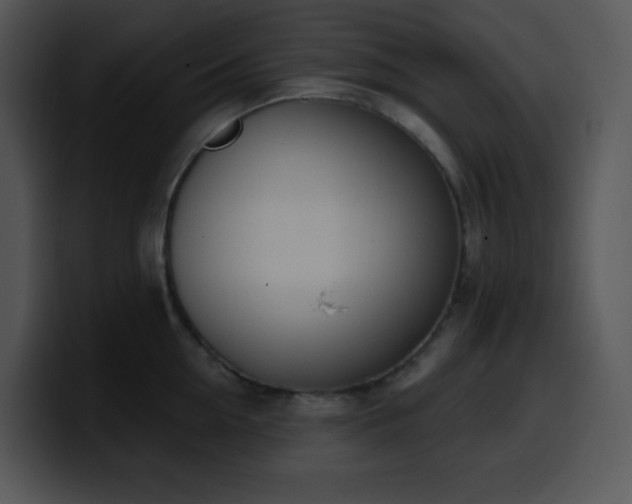 X0000100410954200806061339