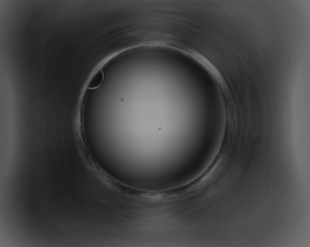 X0000100410956200806061339