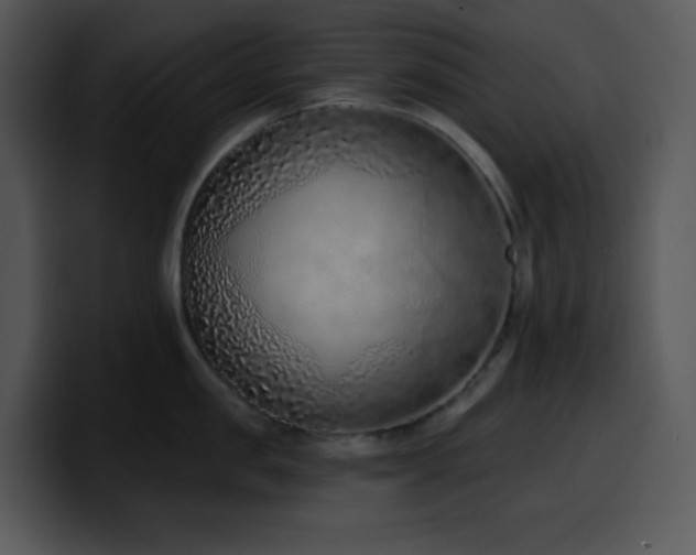 X0000100410957200806061339