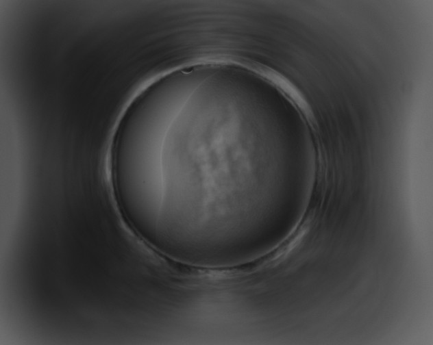 X0000100410958200806061339