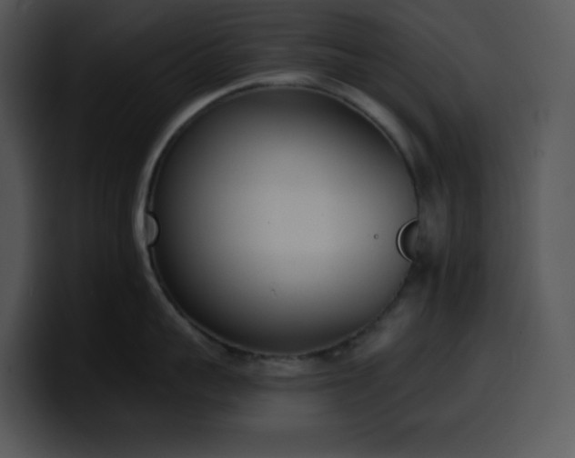 X0000100410959200806061339