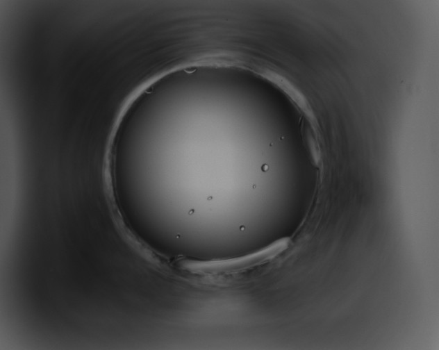 X0000100410960200806061339