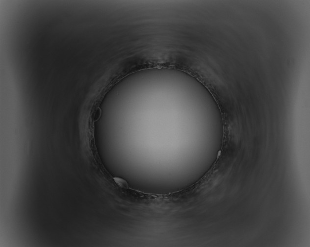 X0000100410961200806061338