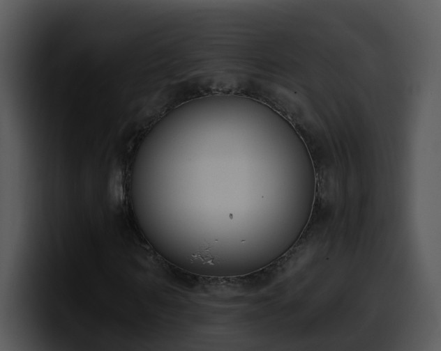 X0000100410962200806061338