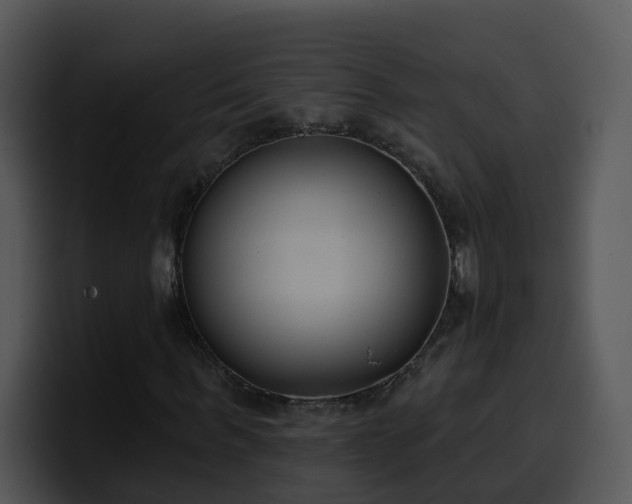 X0000100410963200806061338