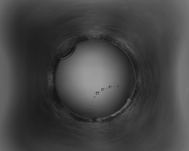 X0000100410964200806061338