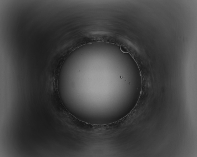 X0000100410965200806061338