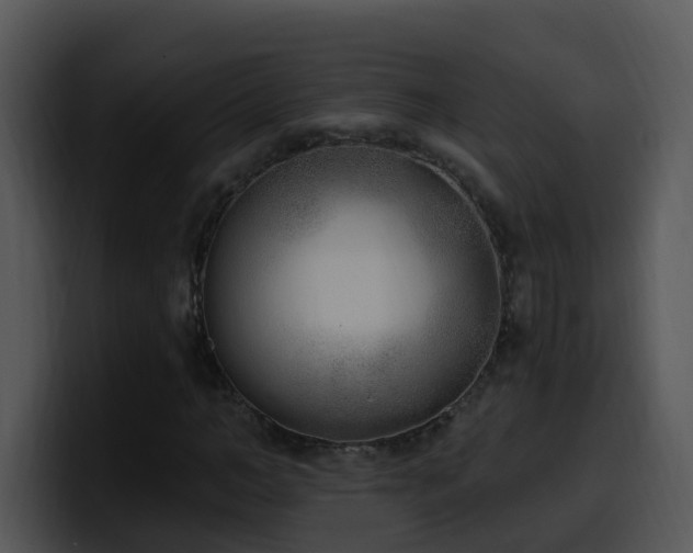 X0000100410966200806061338