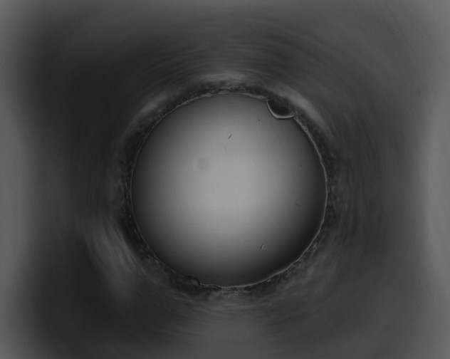 X0000100410967200806061338