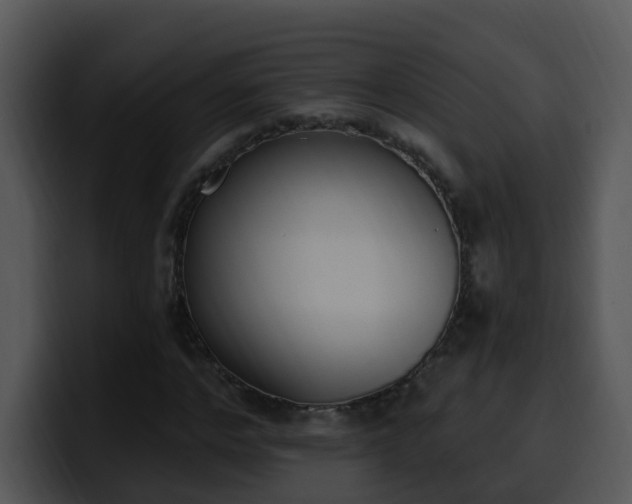 X0000100410968200806061338