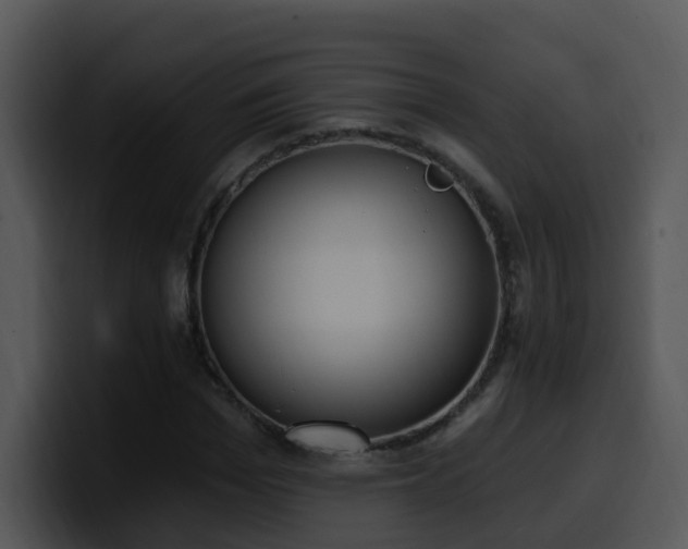 X0000100410969200806061338