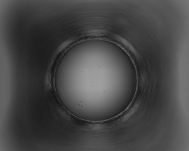 X0000100410970200806061338