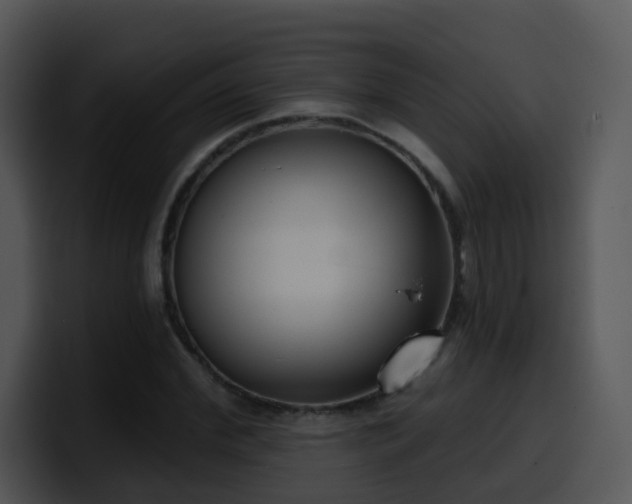 X0000100410972200806061338