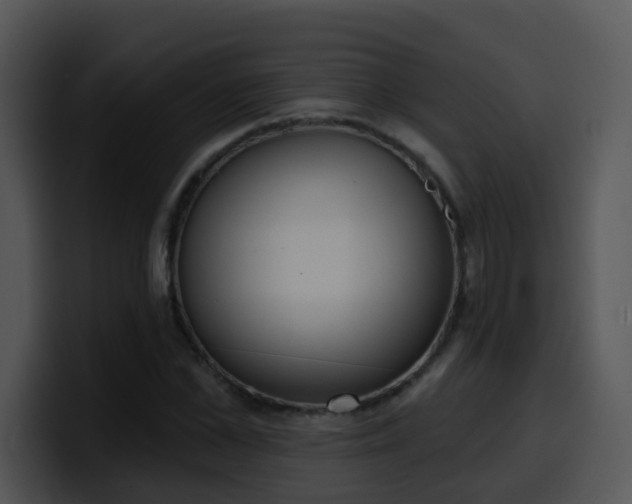 X0000100410973200806061338