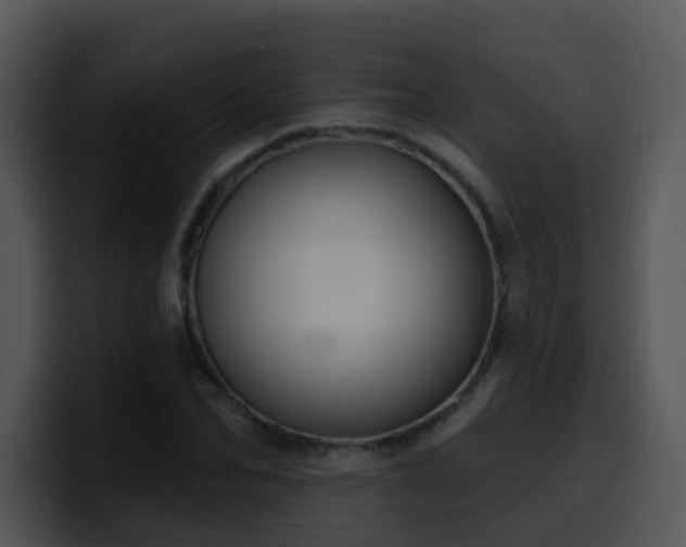 X0000100410974200806061338