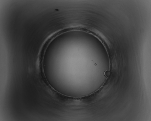 X0000100410975200806061338